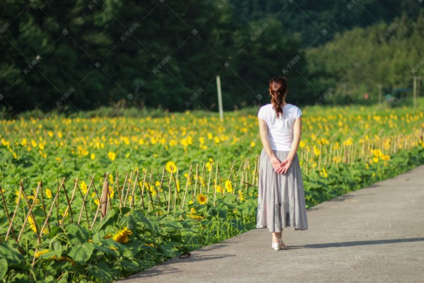 白茶养生之道大揭秘：白茶如何带来意想不到的健康奇迹